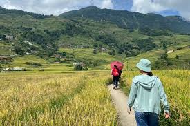 Bike Tour Sapa 1 Day